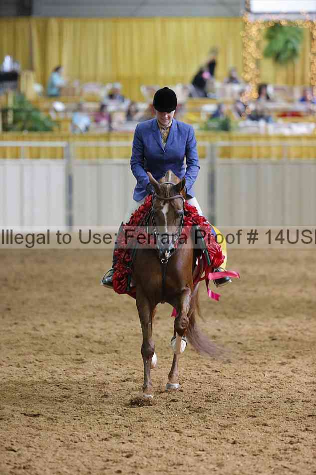 Proof 14usn_21245