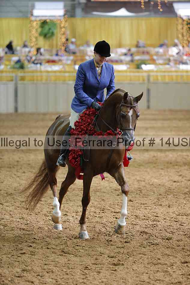 Proof 14usn_21246