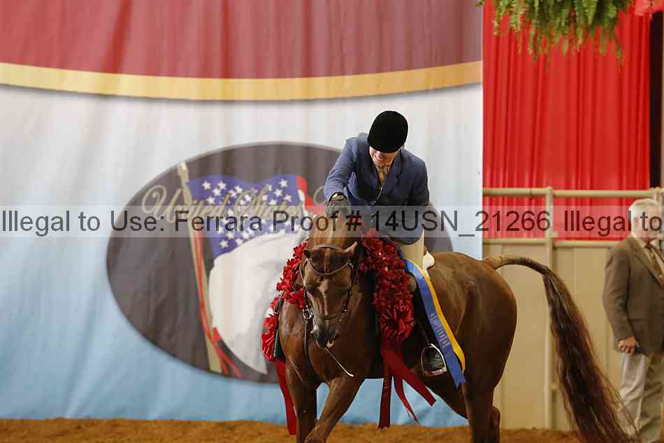 Proof 14usn_21266