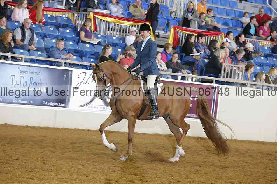 Proof 14usn_06748