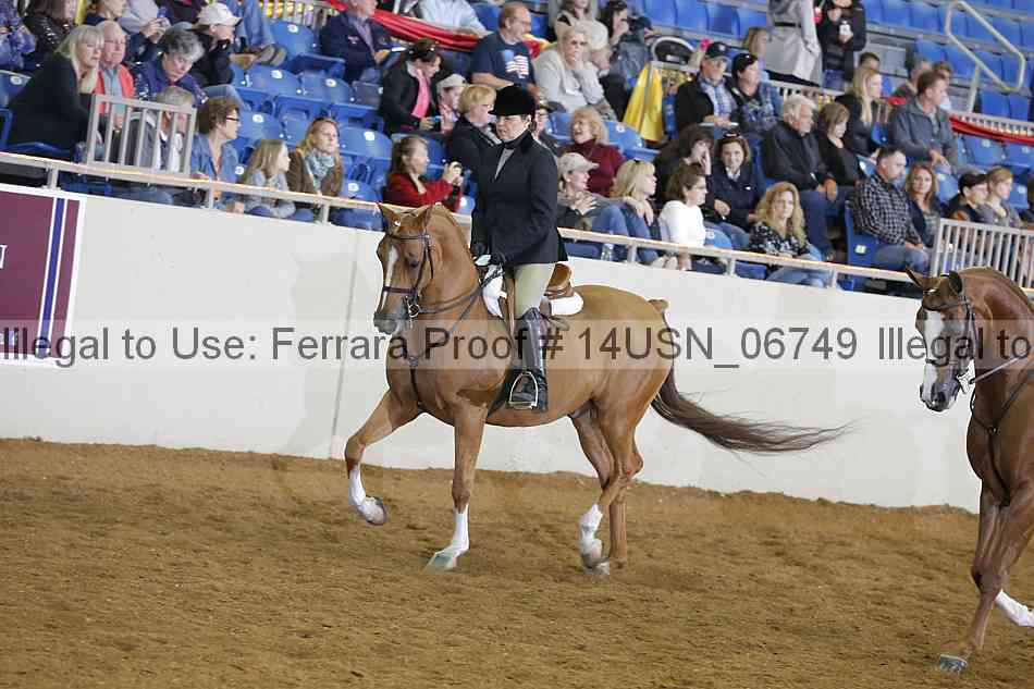 Proof 14usn_06749