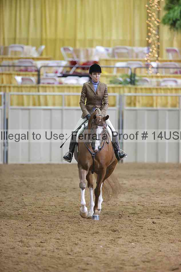 Proof 14usn_06755