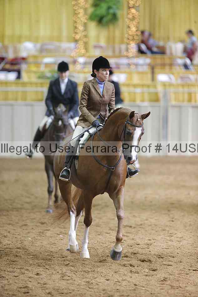 Proof 14usn_06757