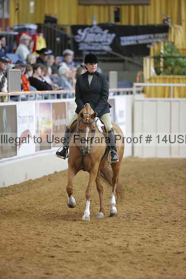 Proof 14usn_06762