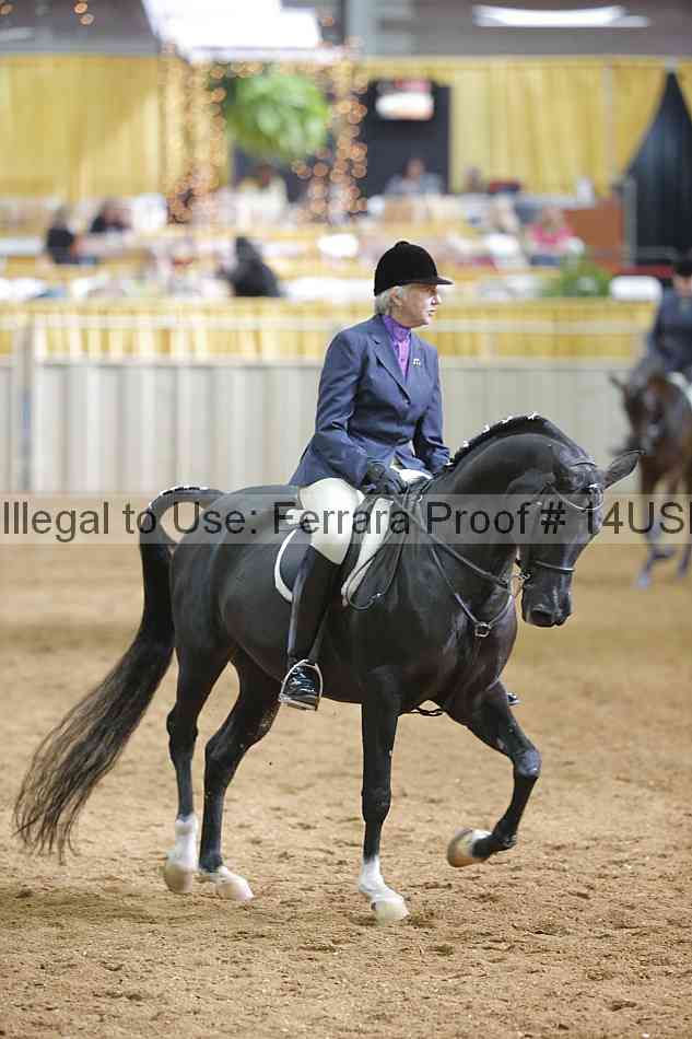 Proof 14usn_06777