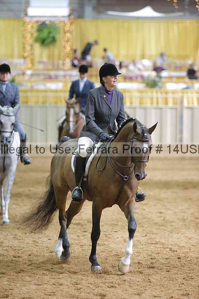 Proof 14usn_06783