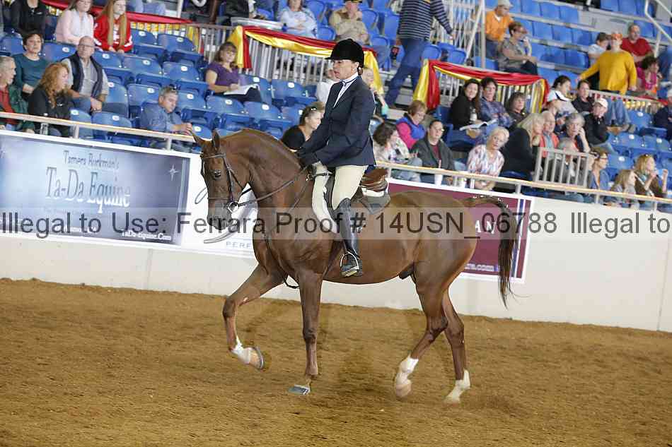 Proof 14usn_06788