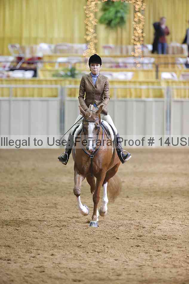 Proof 14usn_06791