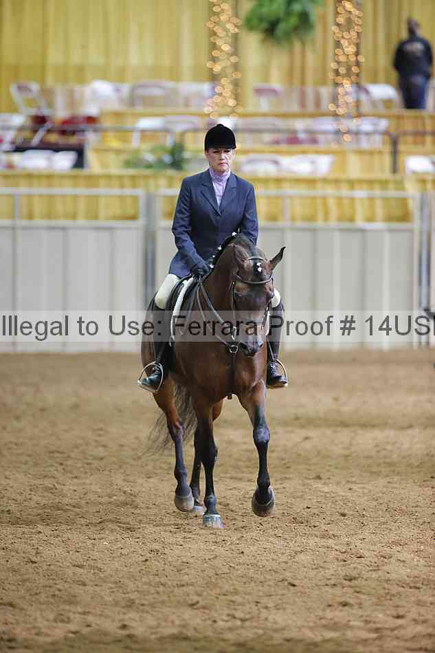 Proof 14usn_06797