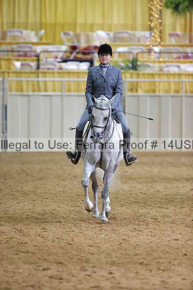 Proof 14usn_06798