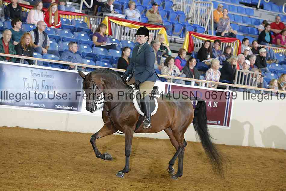 Proof 14usn_06799