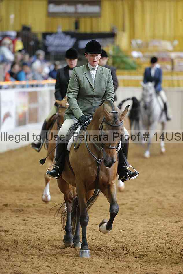 Proof 14usn_06803