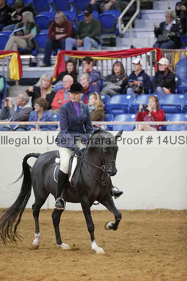 Proof 14usn_06809