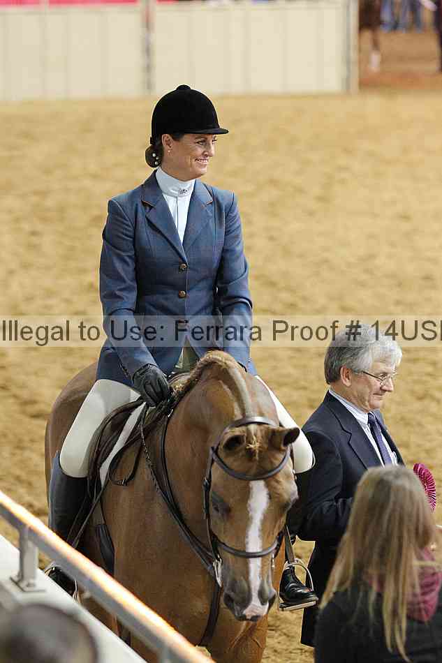 Proof 14usn_06819