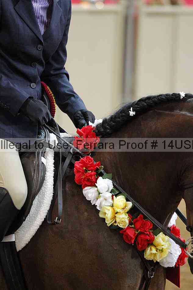 Proof 14usn_06875