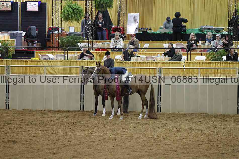 Proof 14usn_06883