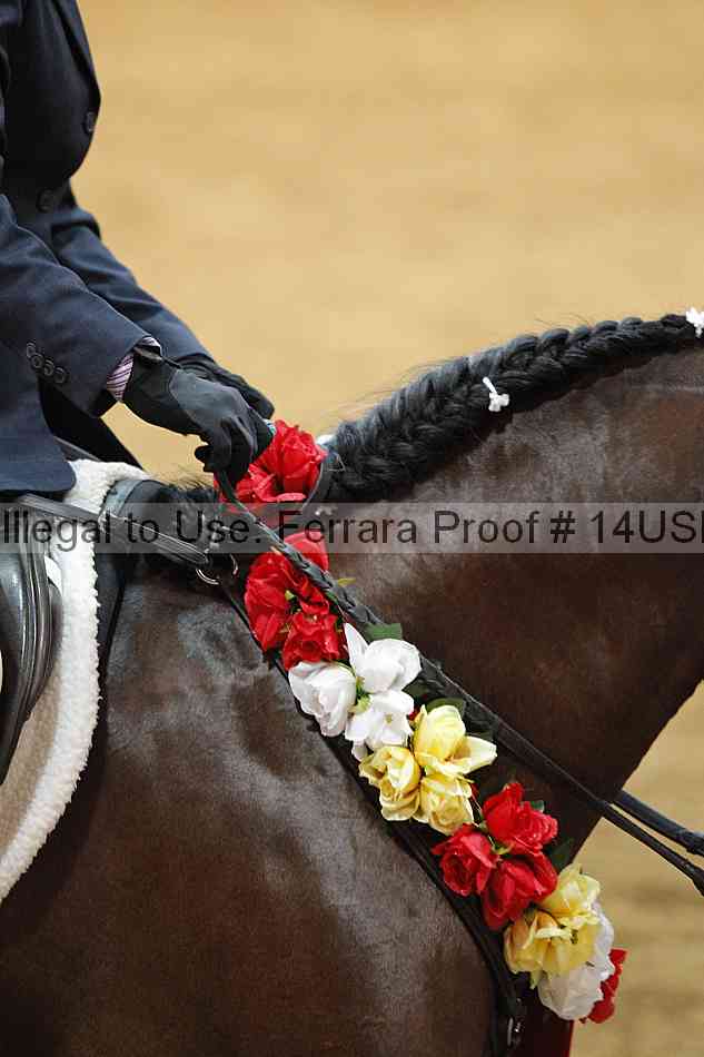 Proof 14usn_06915