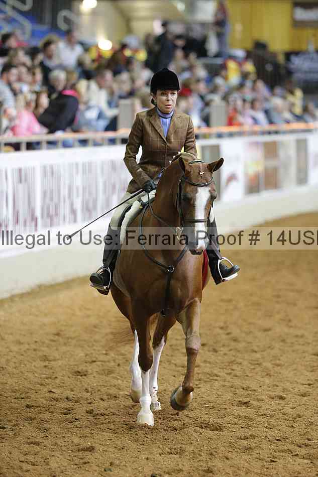 Proof 14usn_06947