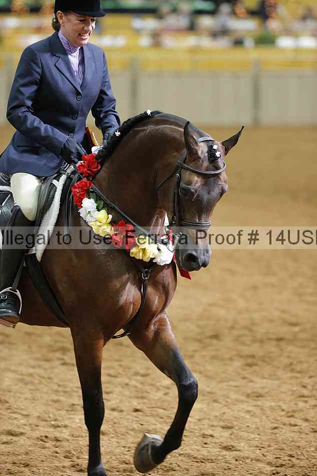 Proof 14usn_06963