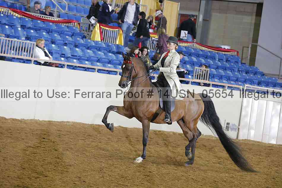 Proof 14usn_05654