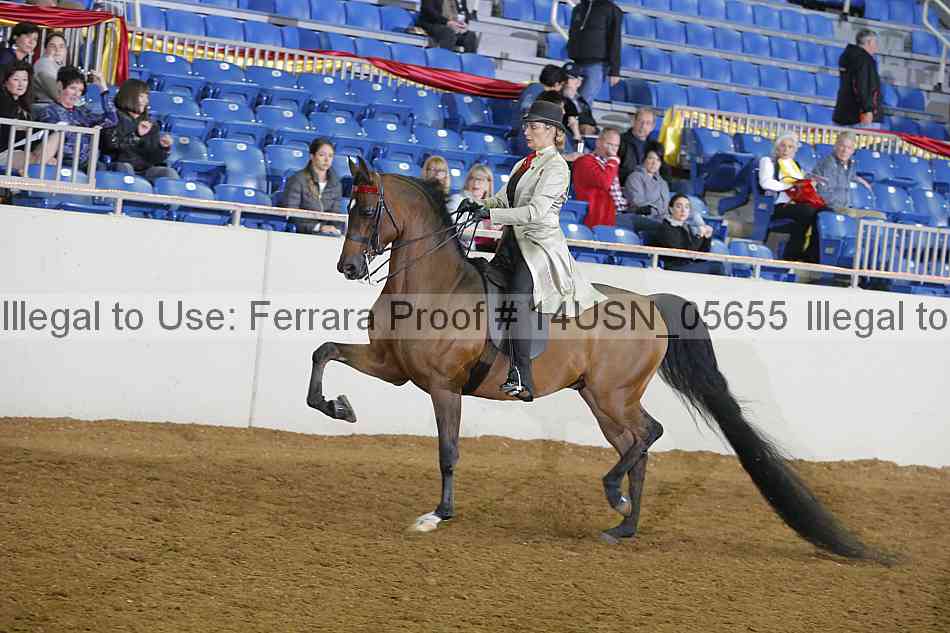 Proof 14usn_05655