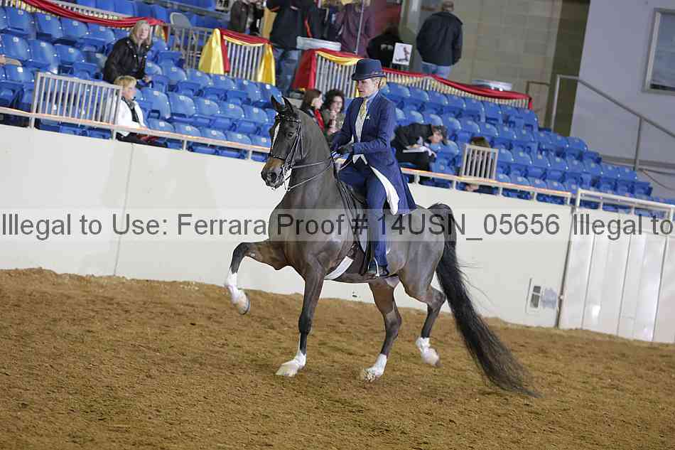 Proof 14usn_05656