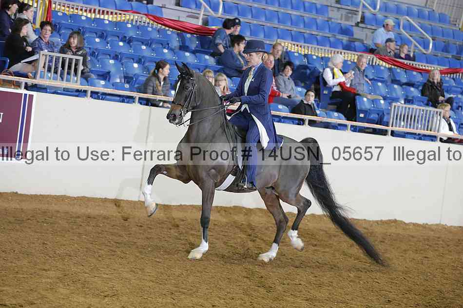 Proof 14usn_05657