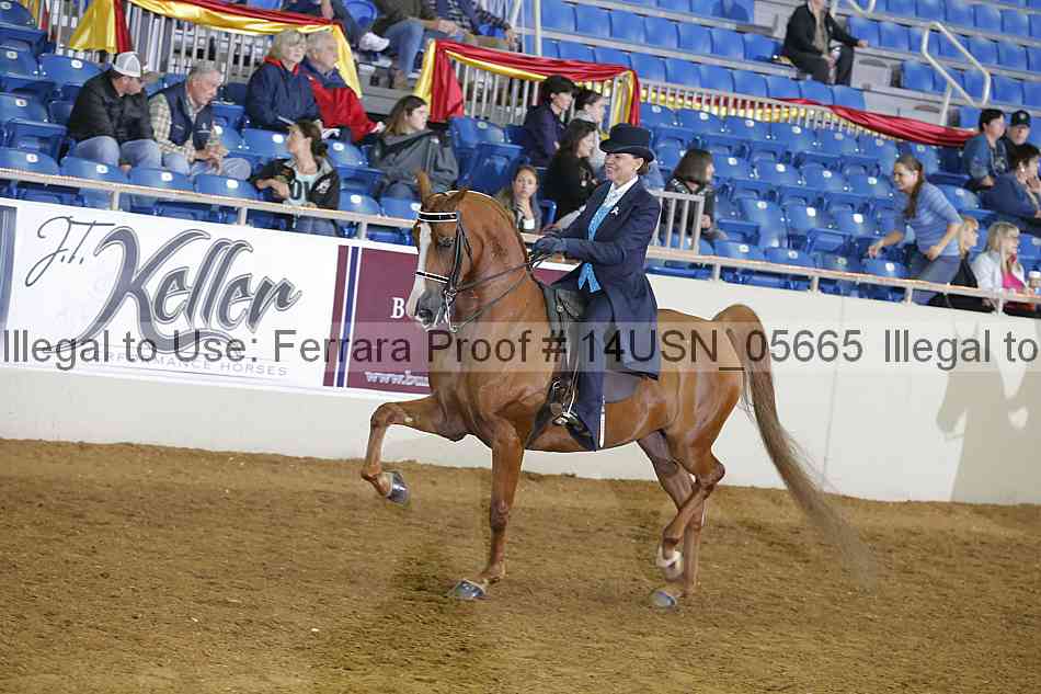 Proof 14usn_05665