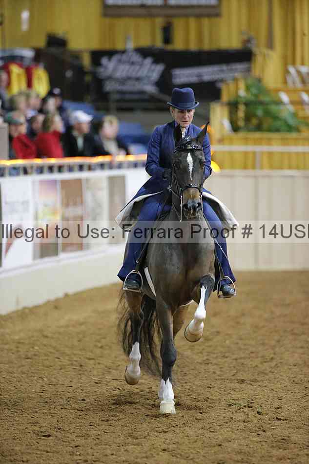 Proof 14usn_05666