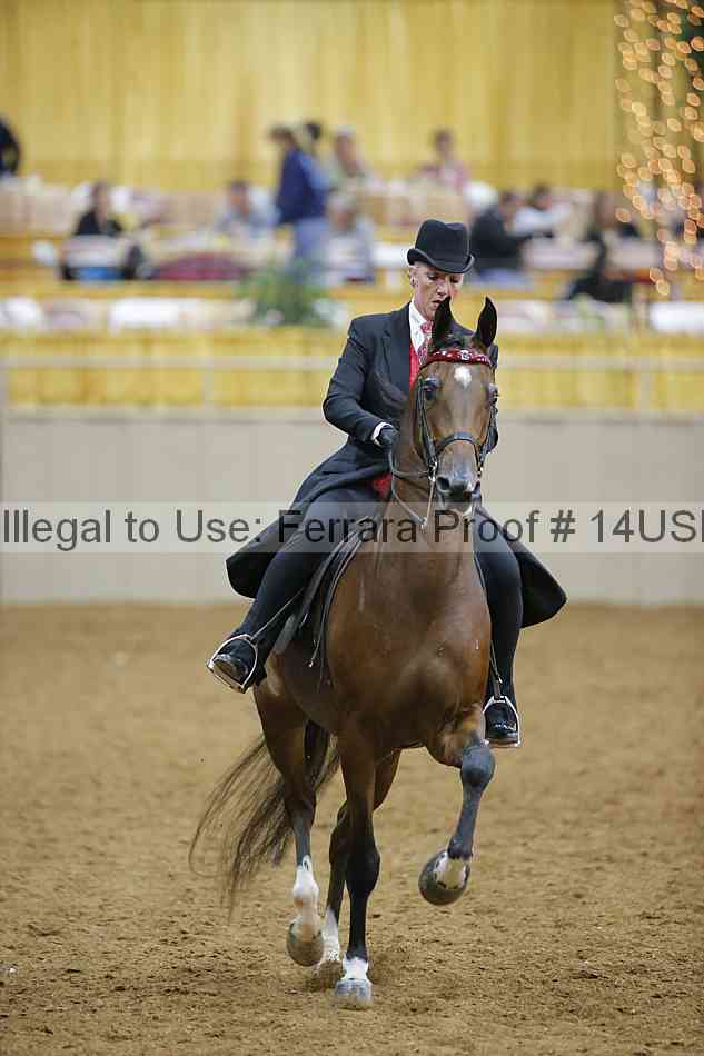 Proof 14usn_05675