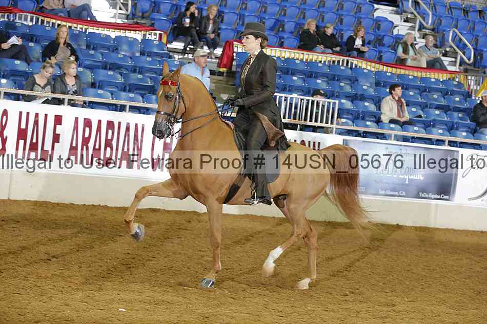 Proof 14usn_05676