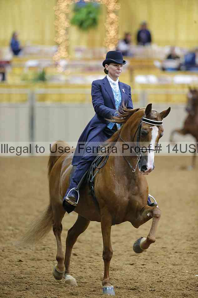 Proof 14usn_05677