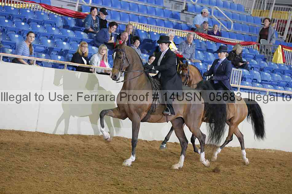 Proof 14usn_05683
