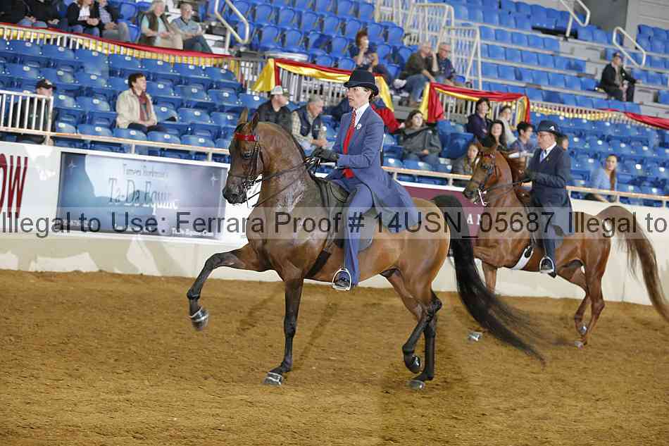 Proof 14usn_05687