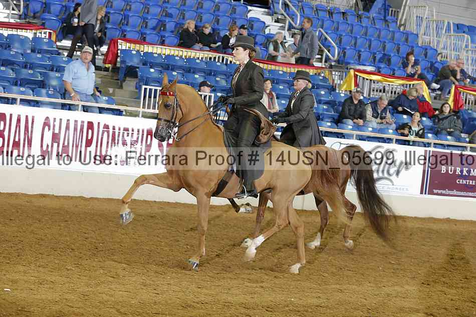 Proof 14usn_05699