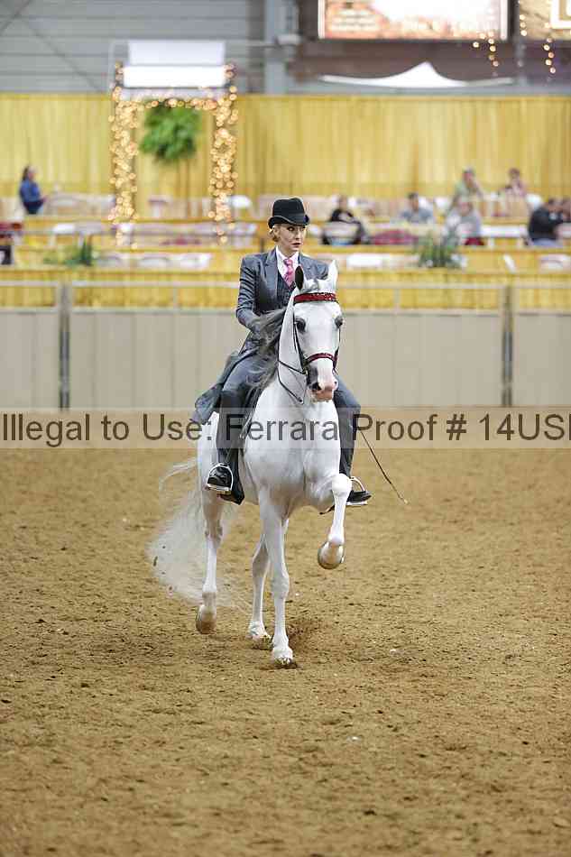 Proof 14usn_05705