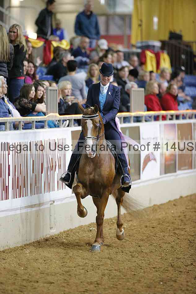 Proof 14usn_05724