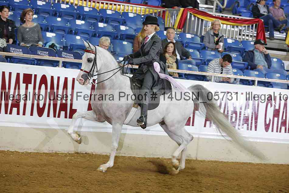 Proof 14usn_05731