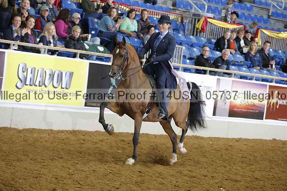 Proof 14usn_05737