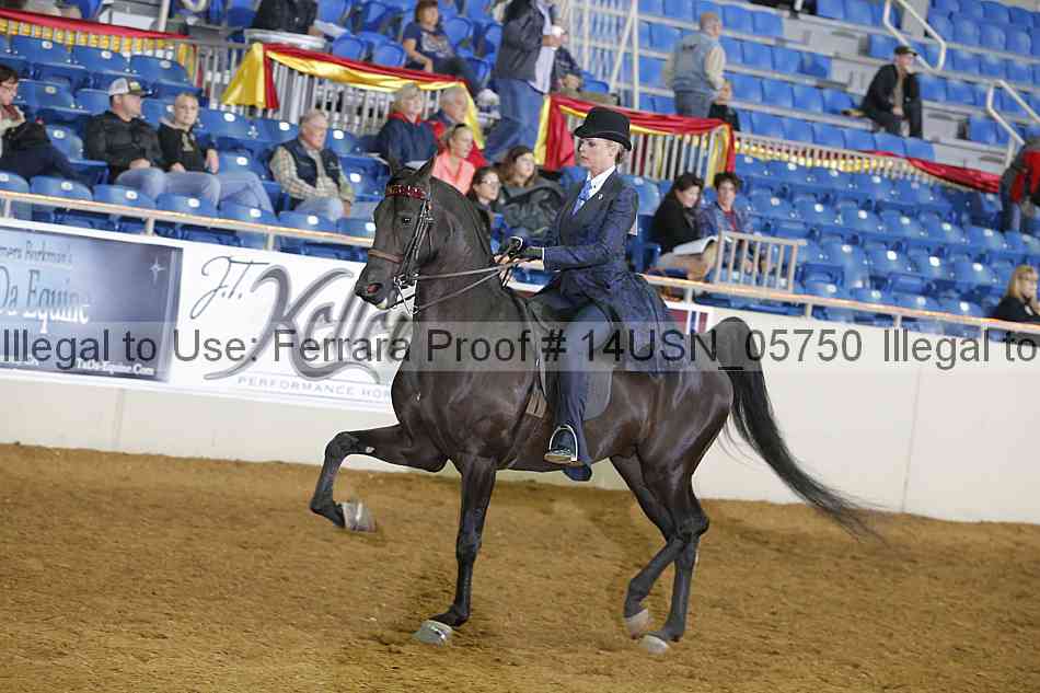 Proof 14usn_05750