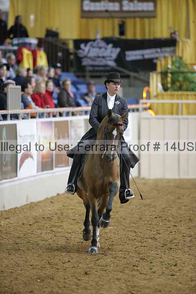 Proof 14usn_05753