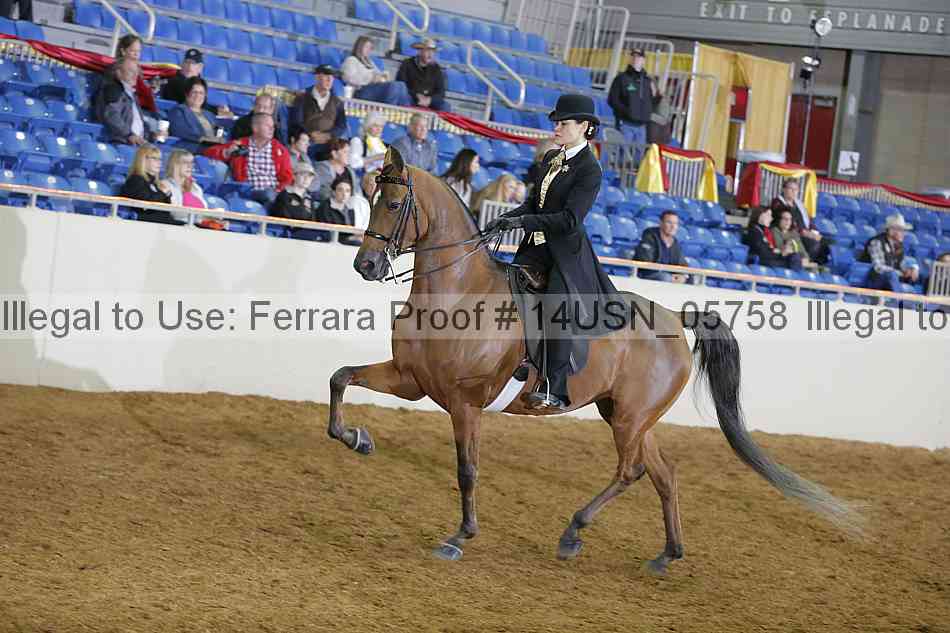Proof 14usn_05758