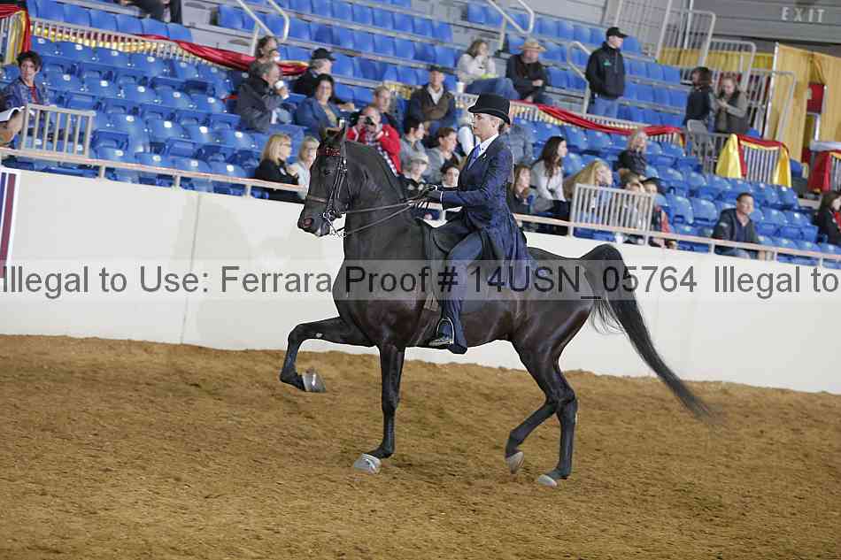 Proof 14usn_05764