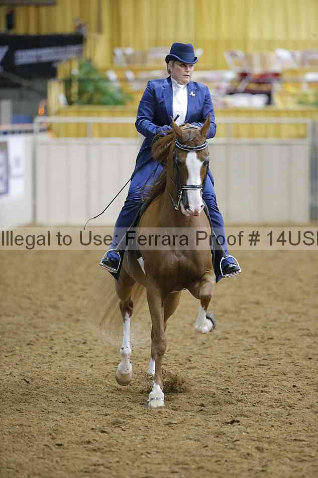 Proof 14usn_05776