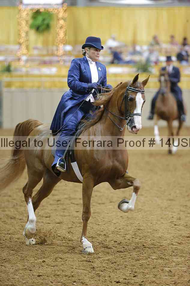 Proof 14usn_05778