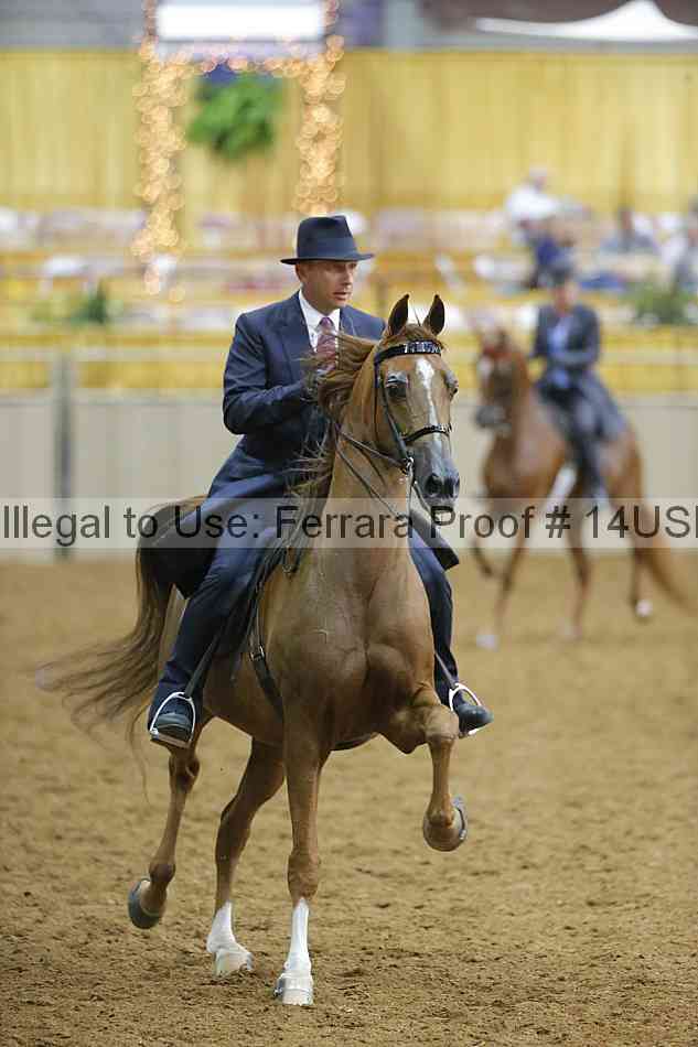 Proof 14usn_05780