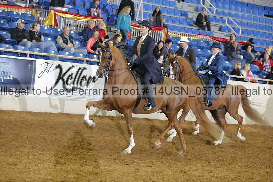 Proof 14usn_05787