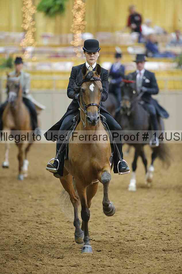 Proof 14usn_05788