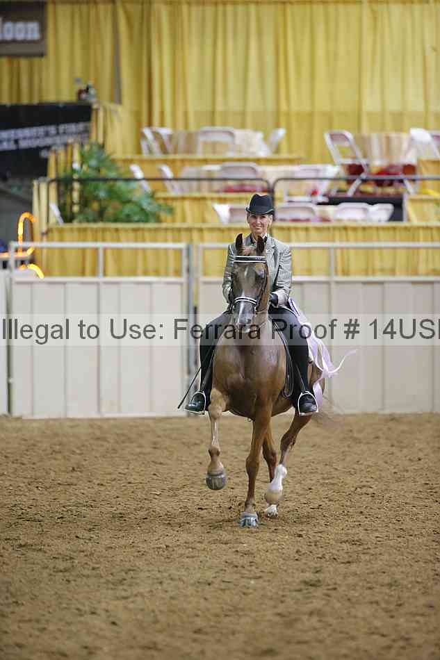 Proof 14usn_05793