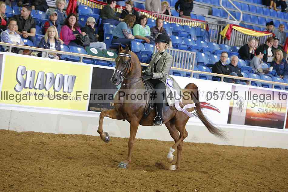 Proof 14usn_05795